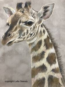 Betty Brown Eyes CP e-Packet